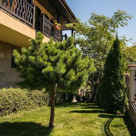 Chiflika Family Hotel 2*
